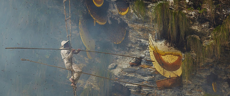 Mad Honey in Nepal